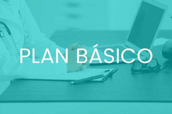 PLAN BÁSICO (1)